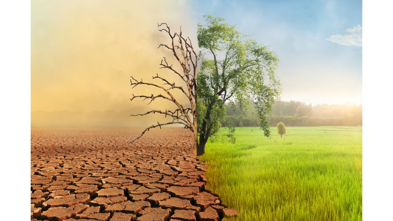 Climate Change - If you can’t beat it, adapt to it. Is it time to shift from mitigation to adaptation