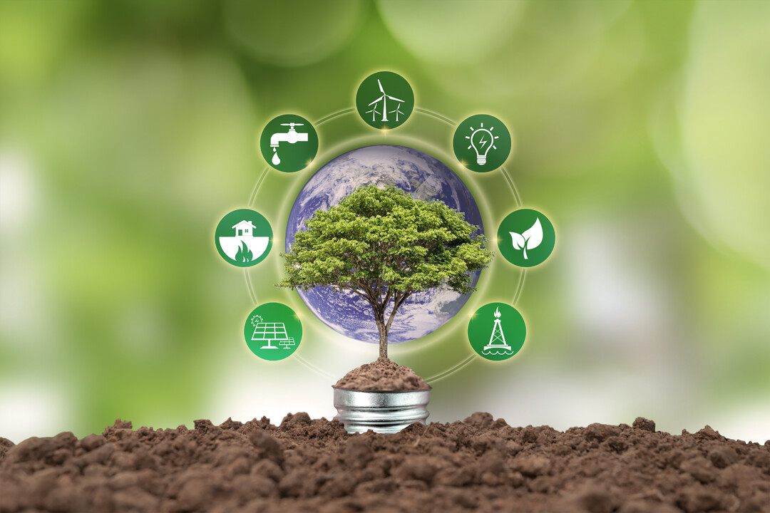 Global Sustainability Agenda #1: Carbon Offset Market - What is crucial to make it effective?