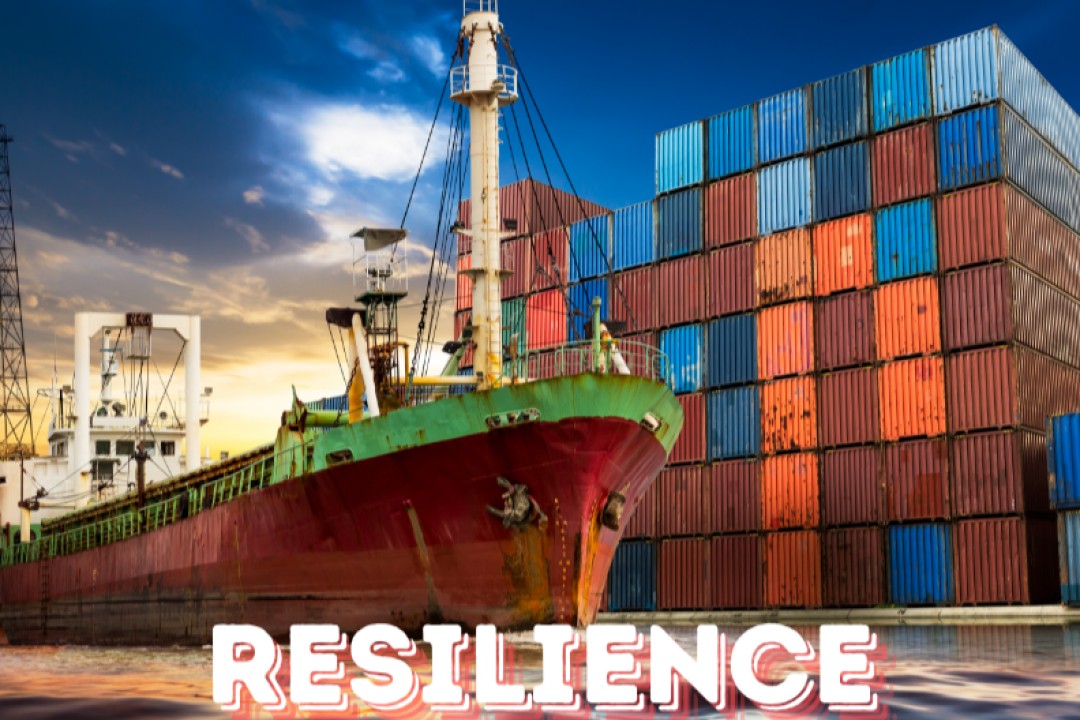 Building Port Resilience Through Adaptive Capacity to Recover from Disruptions